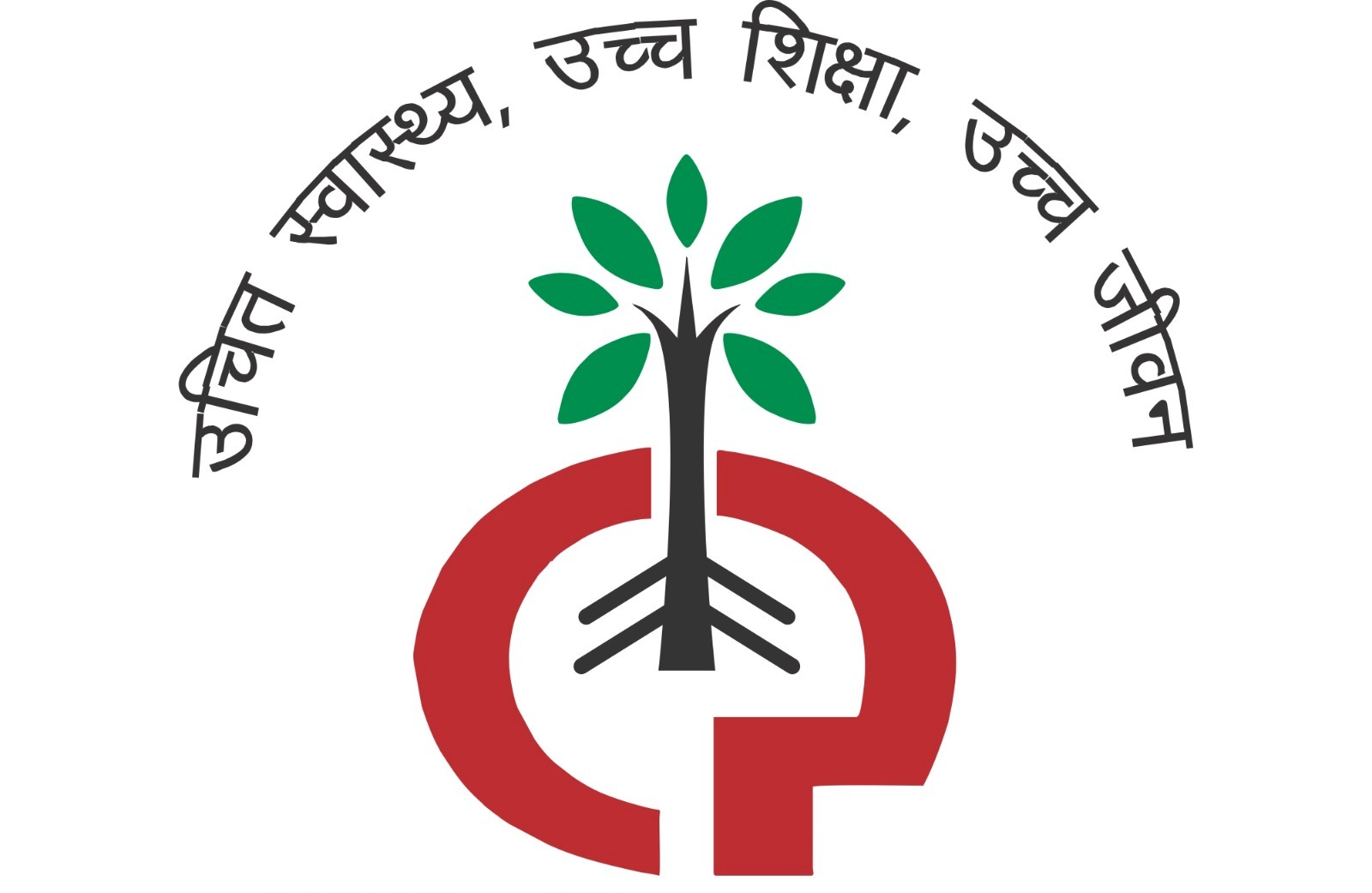 Chirayu Foundation Logo